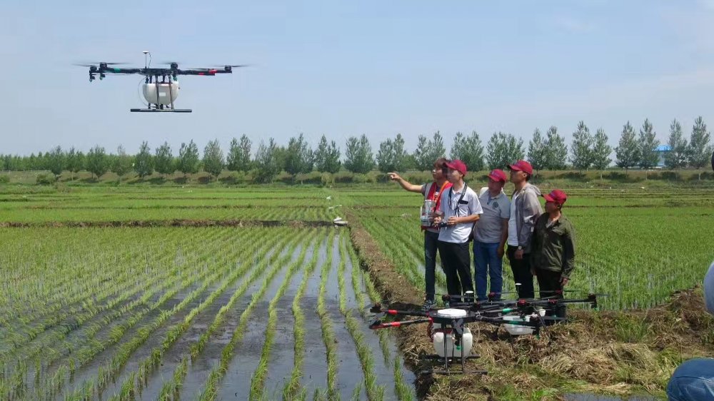 農業植保 (1).jpg