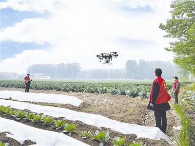 亳州：防小麥赤霉病 無人機顯身手