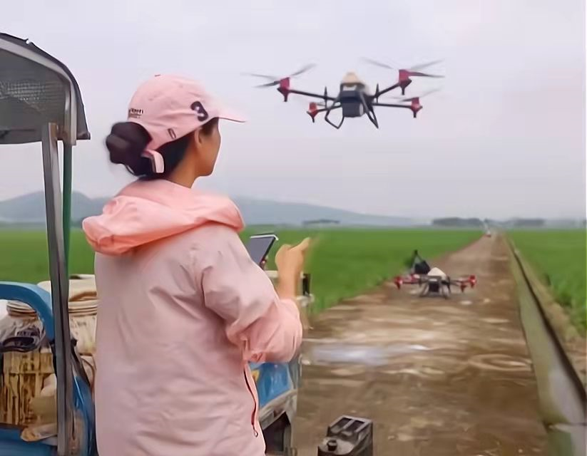 吳董淑操作極飛農業無人機