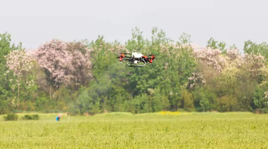 極飛農業無人機在地里作業
